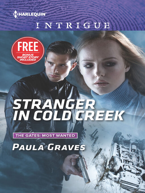 Title details for Stranger in Cold Creek by Paula Graves - Wait list